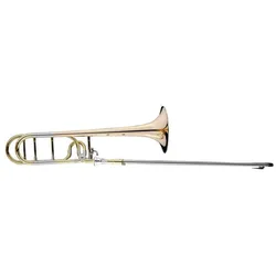 Schagerl Academica Tp-450G B/F-Tenorposaune - Tenorposaune