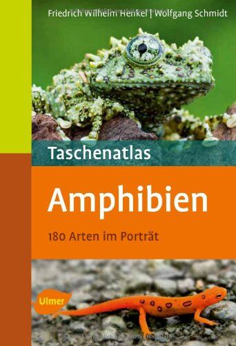 Friedrich-Wilhelm Henkel - Taschenatlas Amphibien: 180 Arten für das Terrarium - Preis vom 17.10.2026 19:25:27 h