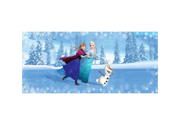 Poster Géant Patins La Reine Des Neiges Disney Frozen Intisse 202x90 Cm