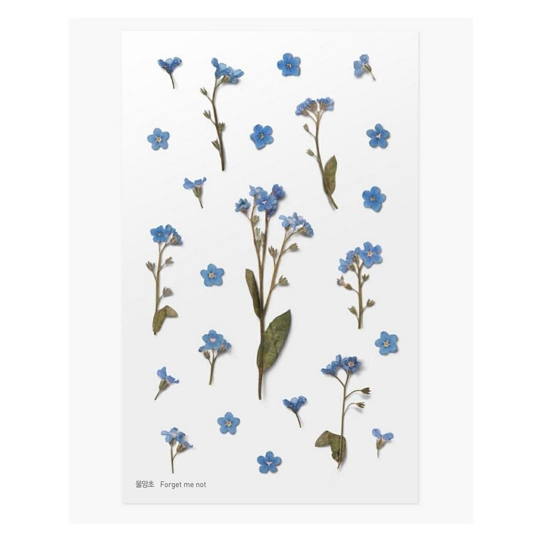 Appree Dekorative Blumenaufkleber - Vergissmeinnicht (43192438)