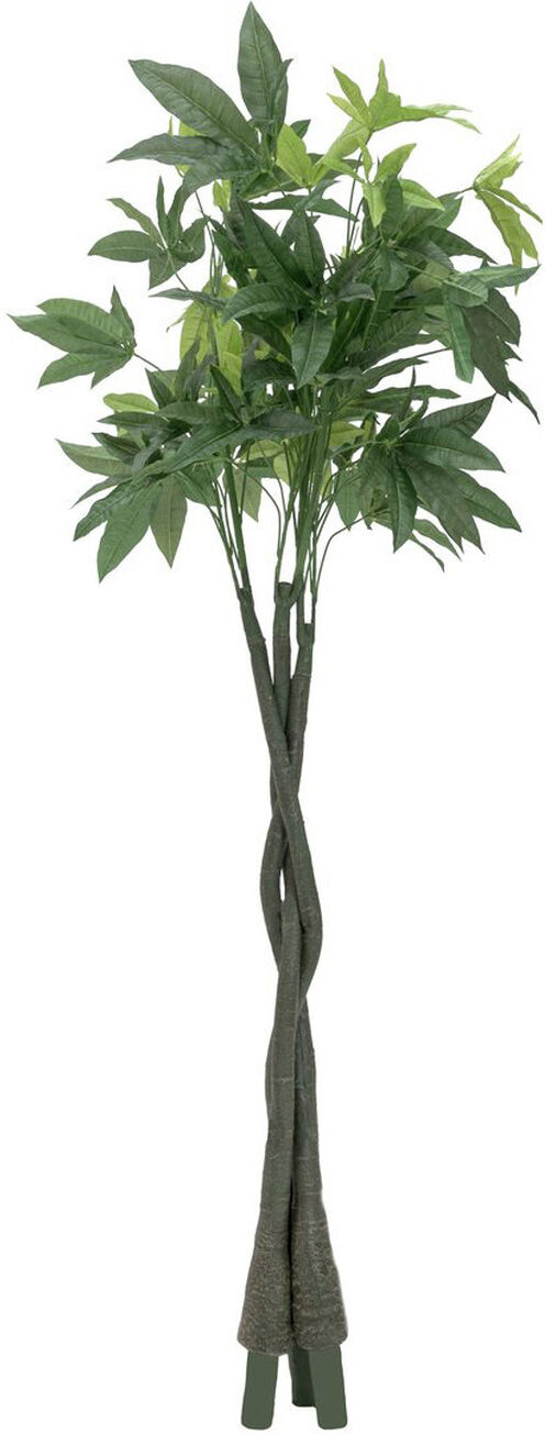 Europalms Pachirabaum, 160cm