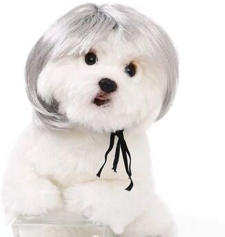 Uplift Treasures Funny Pet Wig Costume Accessory e large