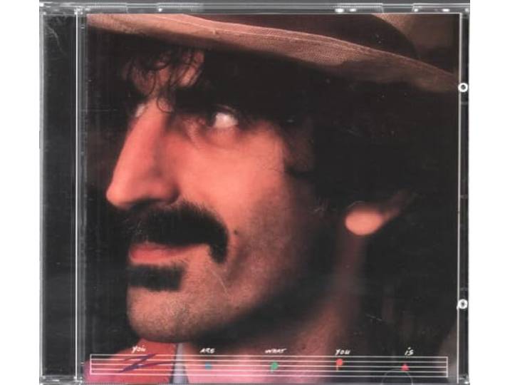 Frank Zappa - You Are What You Is