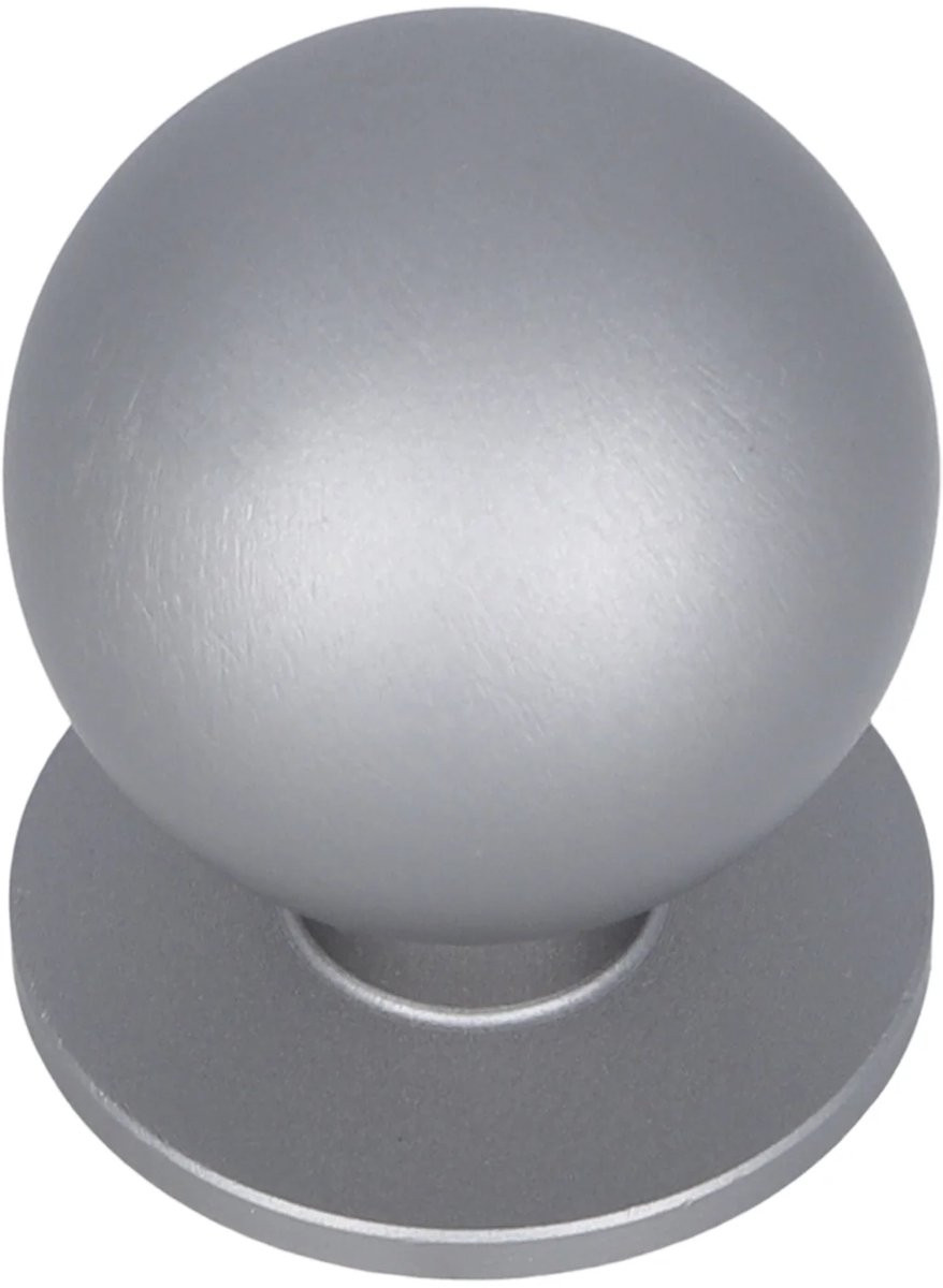 Intergriff Meubelknop Sera Geborsteld RVS 24mm