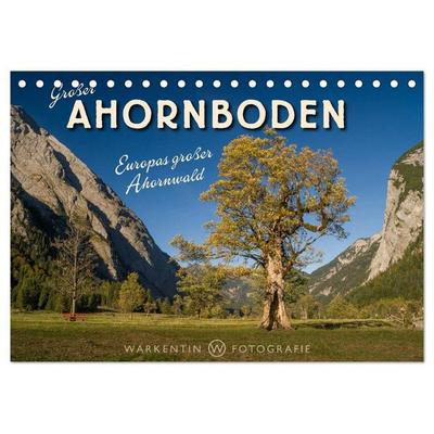 Großer Ahornboden - Europas großer Ahornwald (Tischkalender 2027 DIN A5 quer), CALVENDO Monatskalender