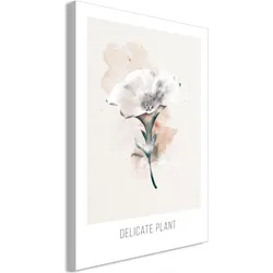 Artgeist, Bilder, Delicate Plant (1 Part) Vertical (80 x 120 cm)
