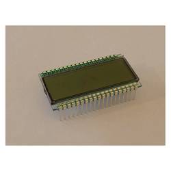 Display Elektronik LCD-Display DE118TS-20/8.0 DE118TS-20/8,0