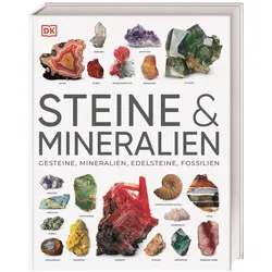 Steine & Mineralien, Ratgeber von Stephan Matthiesen, Karin Koch, Ronald L. Bonewitz