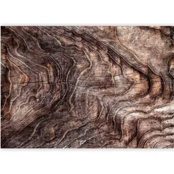 Artgeist, Tapete, Fototapete - Signs of the times - an abstract background with the wrinkled bark of an old tree (400 x 280 cm)
