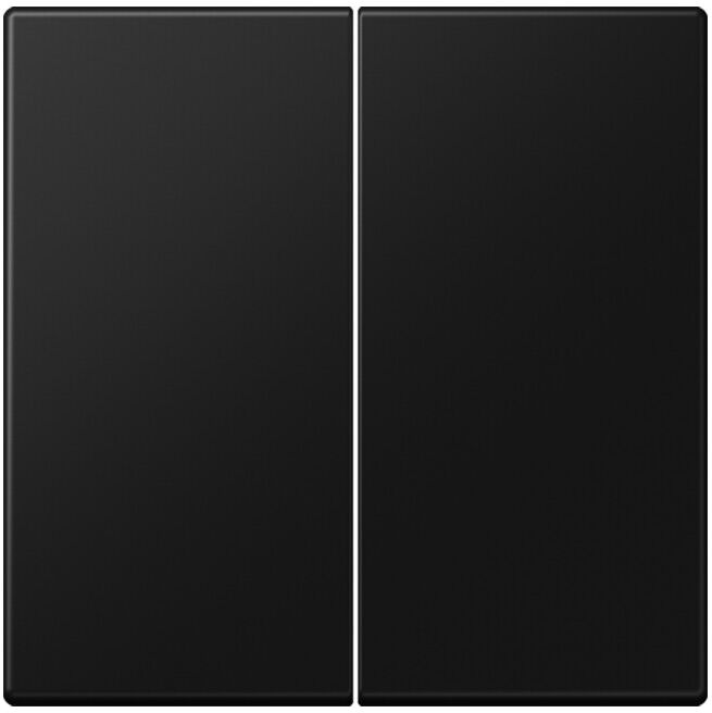 Jung Bascule pour interrupteur série LS995SWM (LS995SWM)