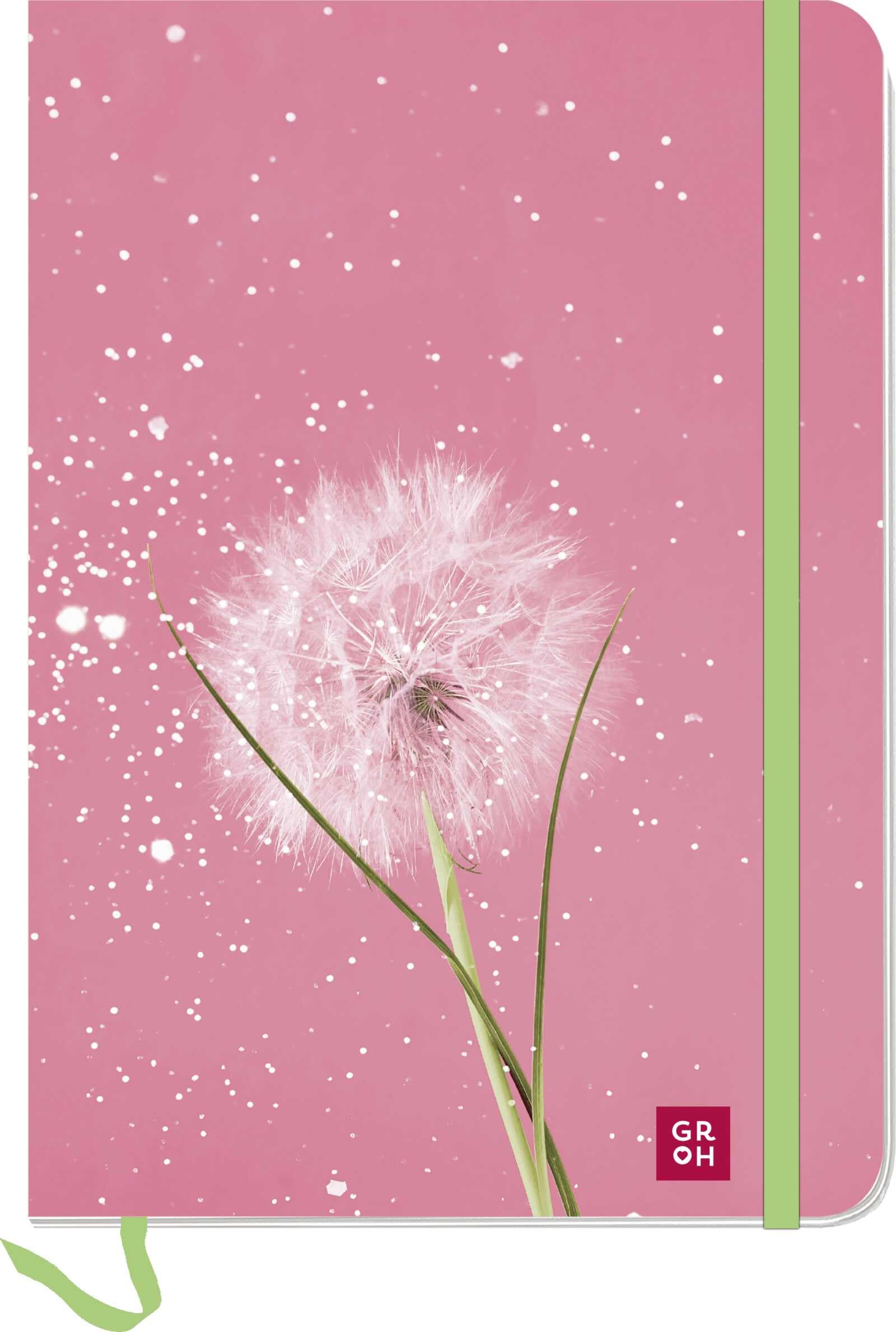 Notizbuch Wünsche Pusteblume: Softcover-Blankbook im DIN A5-Format mit 96 Seiten und Punkteraster Einstecktasche, Gummiband, Lesebändchen, runde Ecken - Preis vom 11.10.2026 03:10:56 h