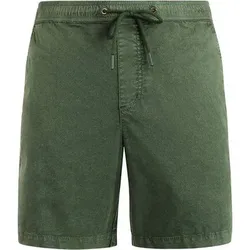 PROTEST Herren Shorts PRTNivel, Größe L in Grau Grau