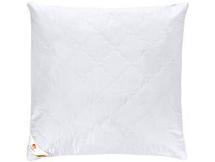 LIVARNO® Oreiller Polygiene®, 60 x 60 cm
