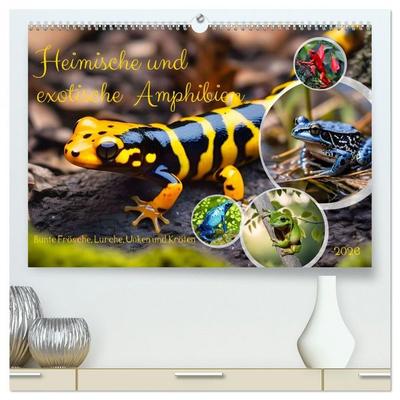 Heimische und exotische Amphibien (hochwertiger Premium Wandkalender 2026 DIN A2 quer), Kunstdruck in Hochglanz