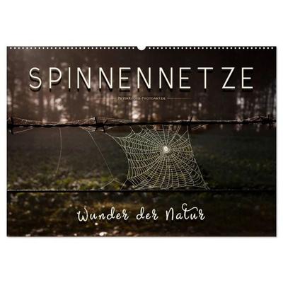 Spinnennetze - Wunder der Natur (Wandkalender 2026 DIN A2 quer), CALVENDO Monatskalender