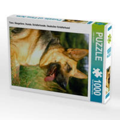 CALVENDO Puzzle Tiere, Säugetiere, Hunde, Schäferhunde, Deutscher Schäferhund | 1000 Teile Lege-Größe 64x48cm Foto-Puzzle für glückliche Stunden