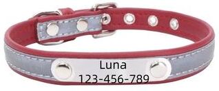 Uplift Picks Personalized PU Leather Dog Collar With Engraved Name Tag red m