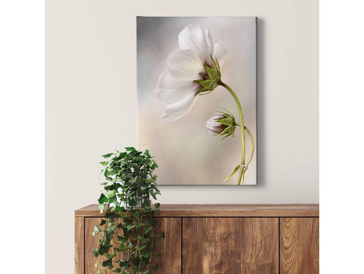 Impression sur toile Blumen Cosmos Polyester PVC / Épicéa Blanc 50 x 70cm