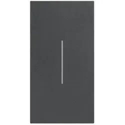 Legrand KG01M2 LivingNow 2-modulige Tastenabdeckung ohne Symbol in der Farbausführung Black