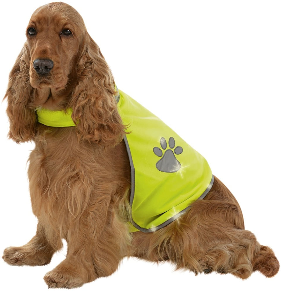 AniOne Giacca di Sicurezza per Cane M