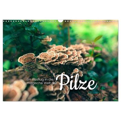 Ein Ausflug in die magische Welt der Pilze (Wandkalender 2027 DIN A3 quer), CALVENDO Monatskalender