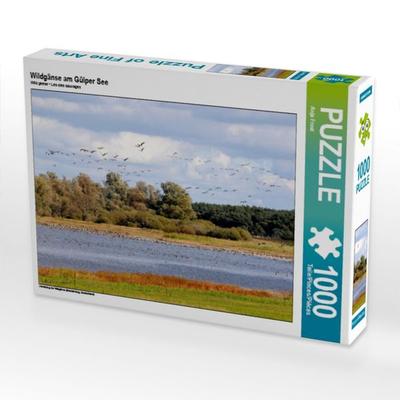 CALVENDO Puzzle Wildgänse am Gülper See | 1000 Teile Lege-Größe 64x48cm Foto-Puzzle für glückliche Stunden