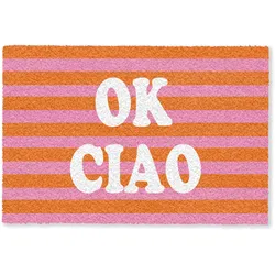 FUSSMATTE Ciao - Zitat - Streifen Sauberlaufmatte 60x40 cm