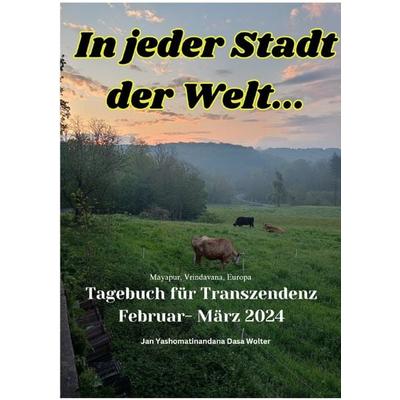 Transzendentale Tagebücher / In jeder Stadt der Welt, Taschenbuch von Jan Wolter, Epubli, 978-3-7598-1250-6