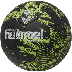 hummel hmlBLAZE Classic Energizer Handball 8420 - asian pear 2