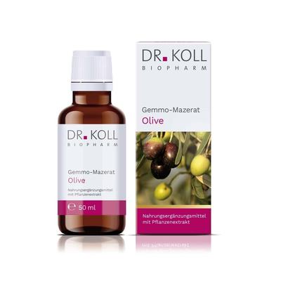 Gemmo-Mazerat Olive Dr.Koll Olea europaea Tropfen 50 ml