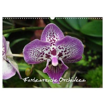 Farbenreiche Orchideen (Wandkalender 2026 DIN A3 quer), CALVENDO Monatskalender