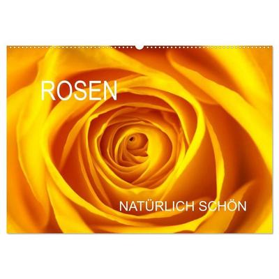 Rosen natürlich schön (Wandkalender 2027 DIN A2 quer), CALVENDO Monatskalender