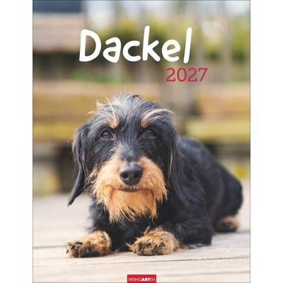 Dackel Kalender 2027