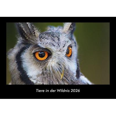 Tiere in der Wildnis 2026 Fotokalender DIN A3