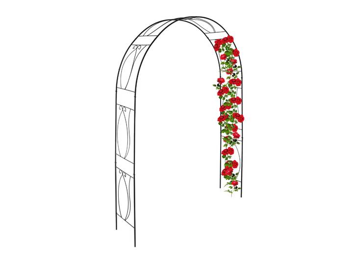 Schwarzer Rosenbogen Schwarz