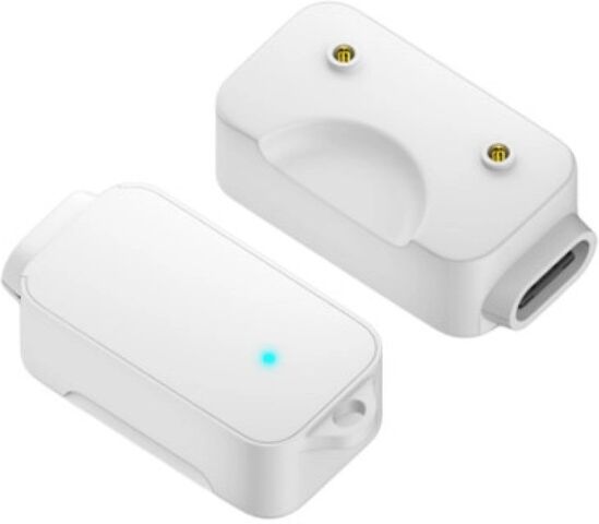 INF Adaptateur de charge magnétique (2 unités) compatible avec Samsung Galaxy Fit3 - ABS portable avec porte-clés et indicateur Blanc