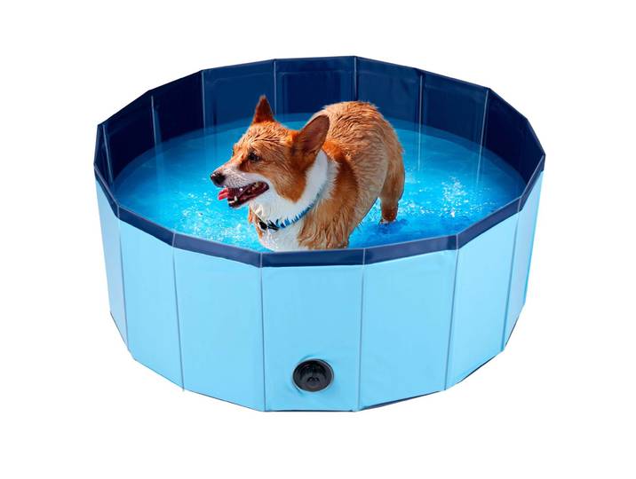 Hundeschwimmbecken, Grösse S, Hundepool, Anti-Rutsch, kratzfest, Ø 80 cm x H 30 cm