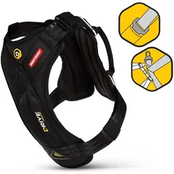 EzyDog Drive Harness (Hund), Tiertransport