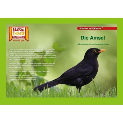 Die Amsel / Kamishibai Bildkarten, Nonbook von , Hase und Igel Verlag