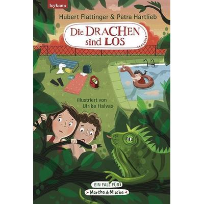 Die Drachen sind los, Gebundene Ausgabe von Hubert Flattinger,Petra Hartlieb, Leykam, 978-3-7011-8336-4