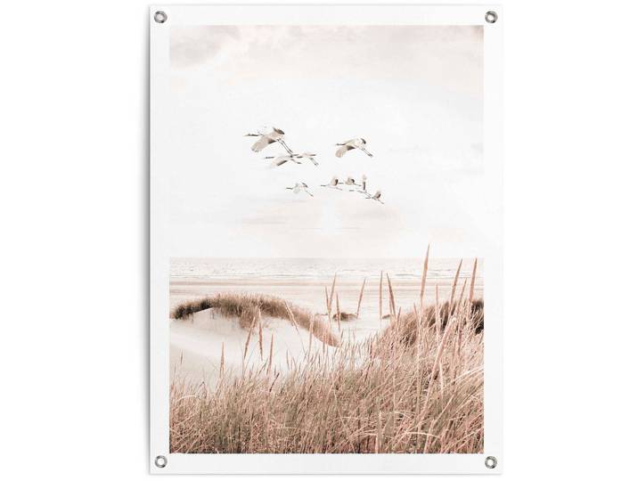 Poster REINDERS Kraniche , beige (farbe bild(er): beige), B:60cm H:80cm T:0,1cm, Leinwand, Bilder, Poster