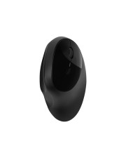 Kensington Pro Fit Ergo Wireless Mouse Schwarz (K75404EU)