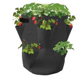 BURI 12x Erdbeerpflanzsack 2er35x45 cm