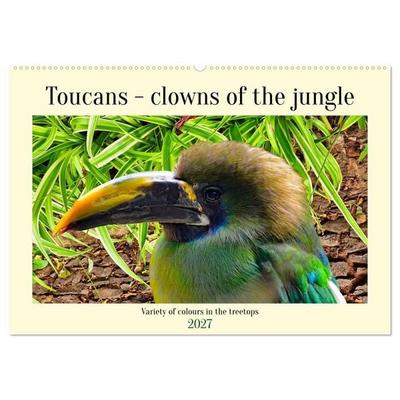 Toucans - clowns of the jungle (Wall Calendar 2027 DIN A2 landscape), CALVENDO 12 Month Wall Calendar