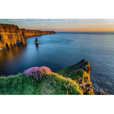 Fototapete PAPERMOON "MOHER IRLAND-STRAND KLIPPEN KÜSTE BLUMEN MEER GEBIRGE", bunt, B:2,5m L:1,86m, Vlies, Tapeten