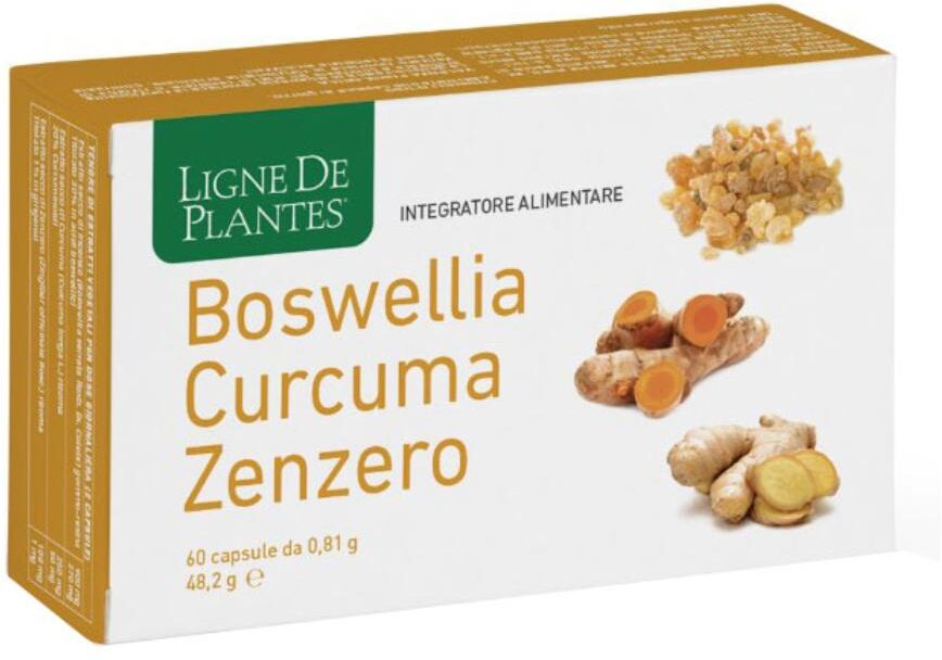 NATURA SERVICE Srl BOSWELLIA/CURC/ZENZ.60Cps NSE