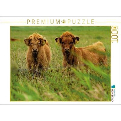 CALVENDO Puzzle Nachwuchs bei den Rindern | 1000 Teile Lege-Größe 64x48cm Foto-Puzzle für glückliche Stunden