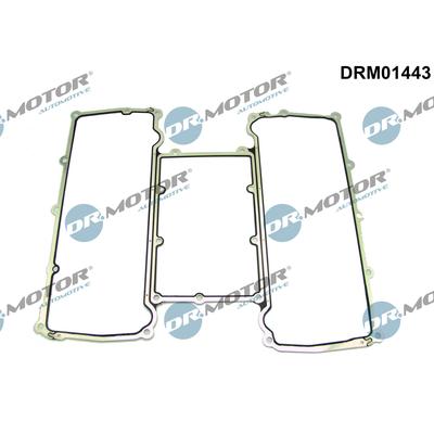 DR.MOTOR AUTOMOTIVE Dichtung, Ansaugkrümmer drm01443 Eingang für LAND ROVER