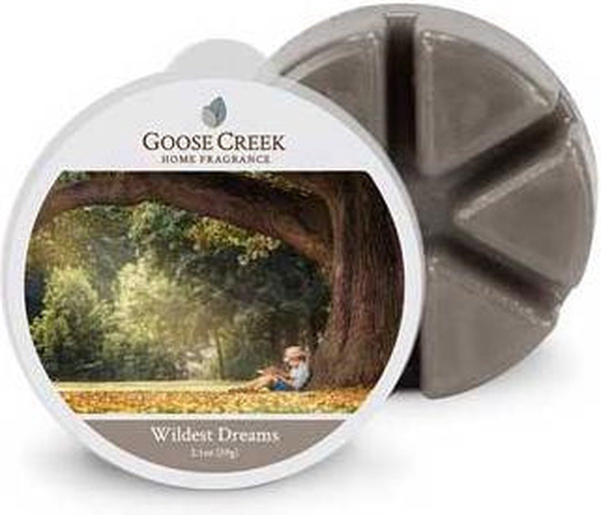 Goose Creek Wildest Dreams Wax Melts