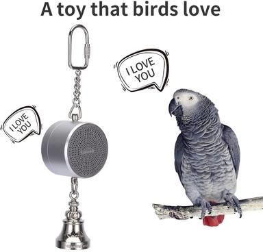 Inspired Finds Interactive Parrot Training Toy Voice Recording & Playback Bird Talking Coach With Chewing Bell silver